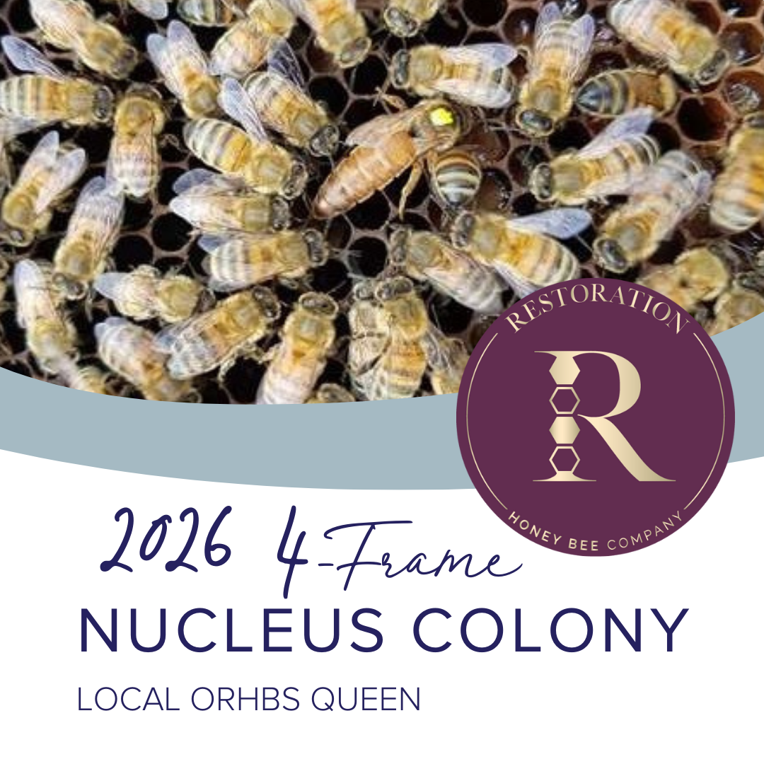 2026 Nucleus Colony, local ORHBS queen (50% deposit)
