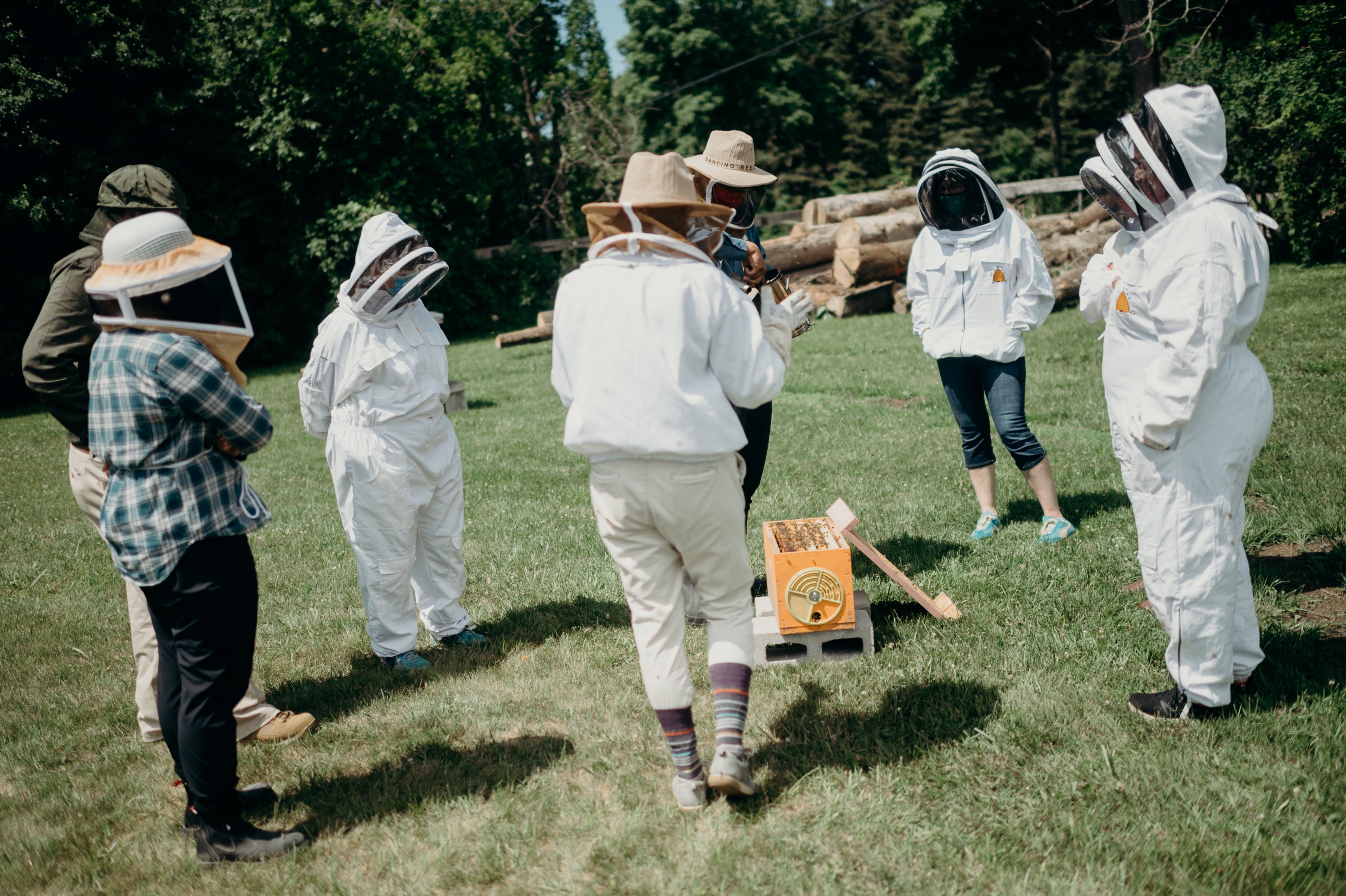 2026 Introductory to Beekeeping Course - Classroom/Field Hybrid