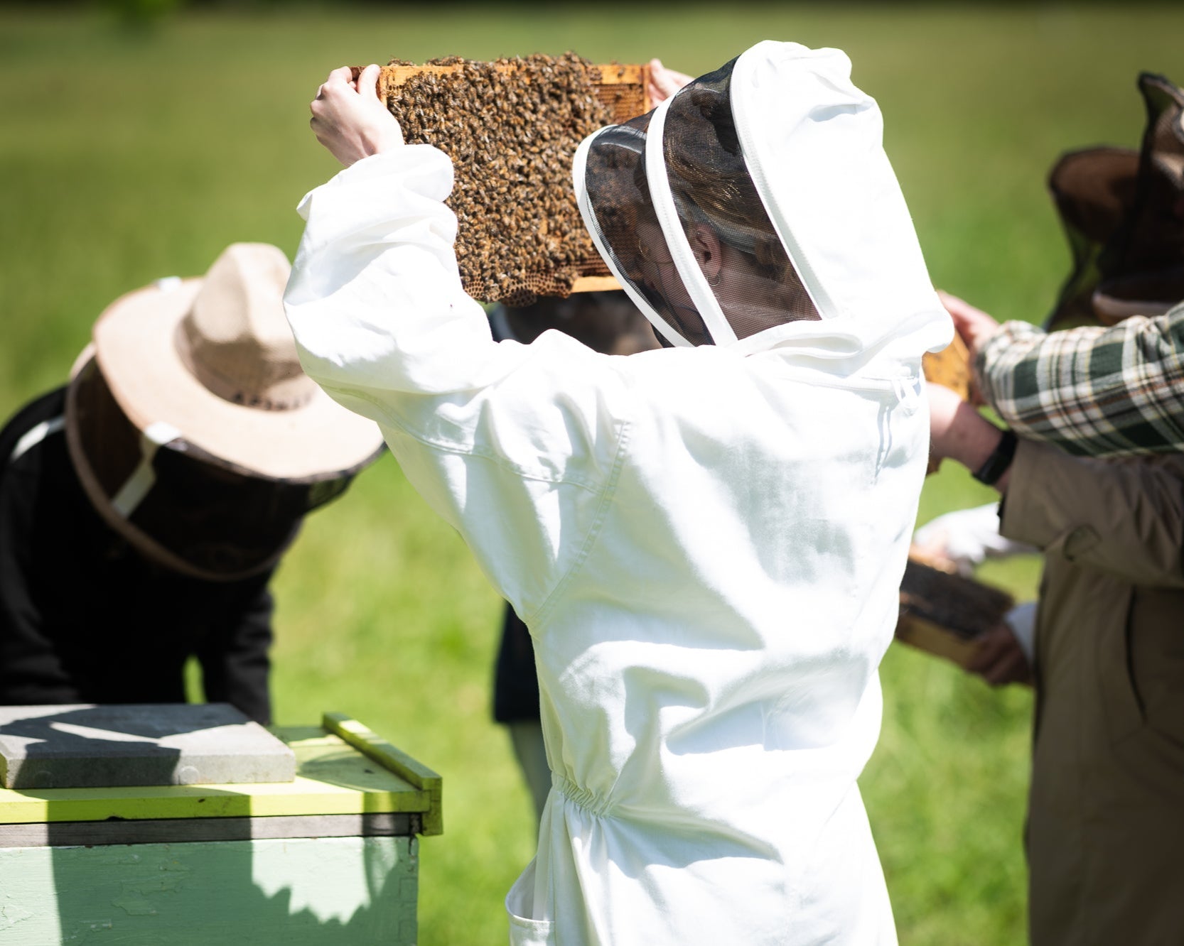 2026 Introductory to Beekeeping Course - Classroom/Field Hybrid