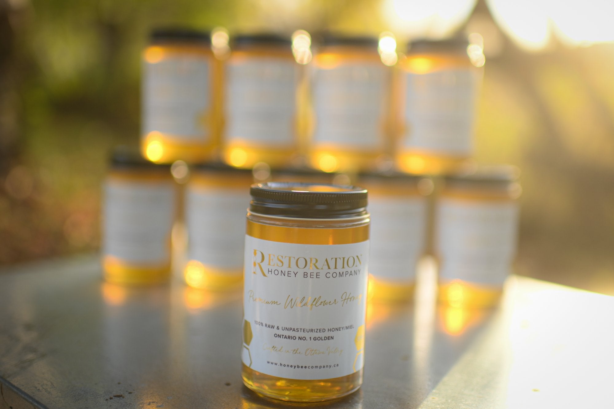 Premium Wildflower Honey - 500g