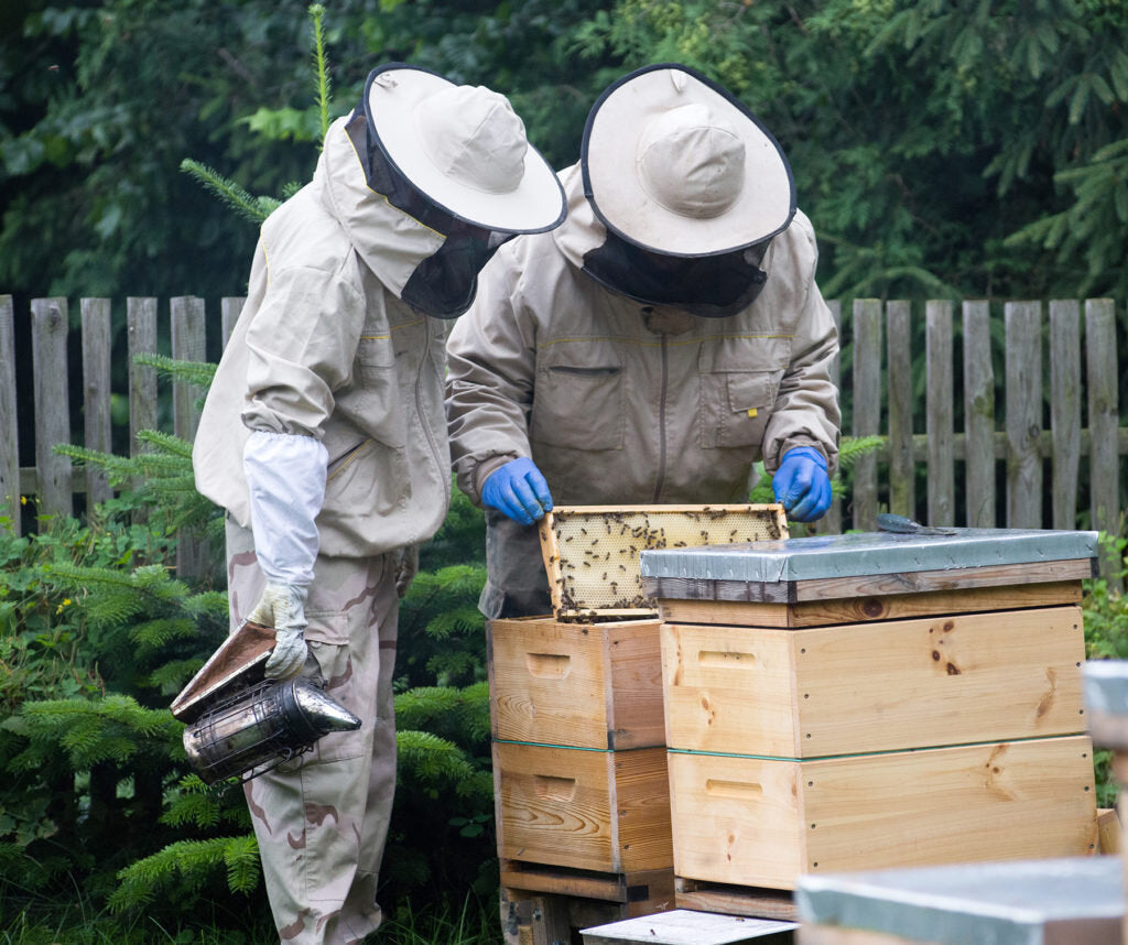 2026 Introductory to Beekeeping Course - Classroom/Field Hybrid