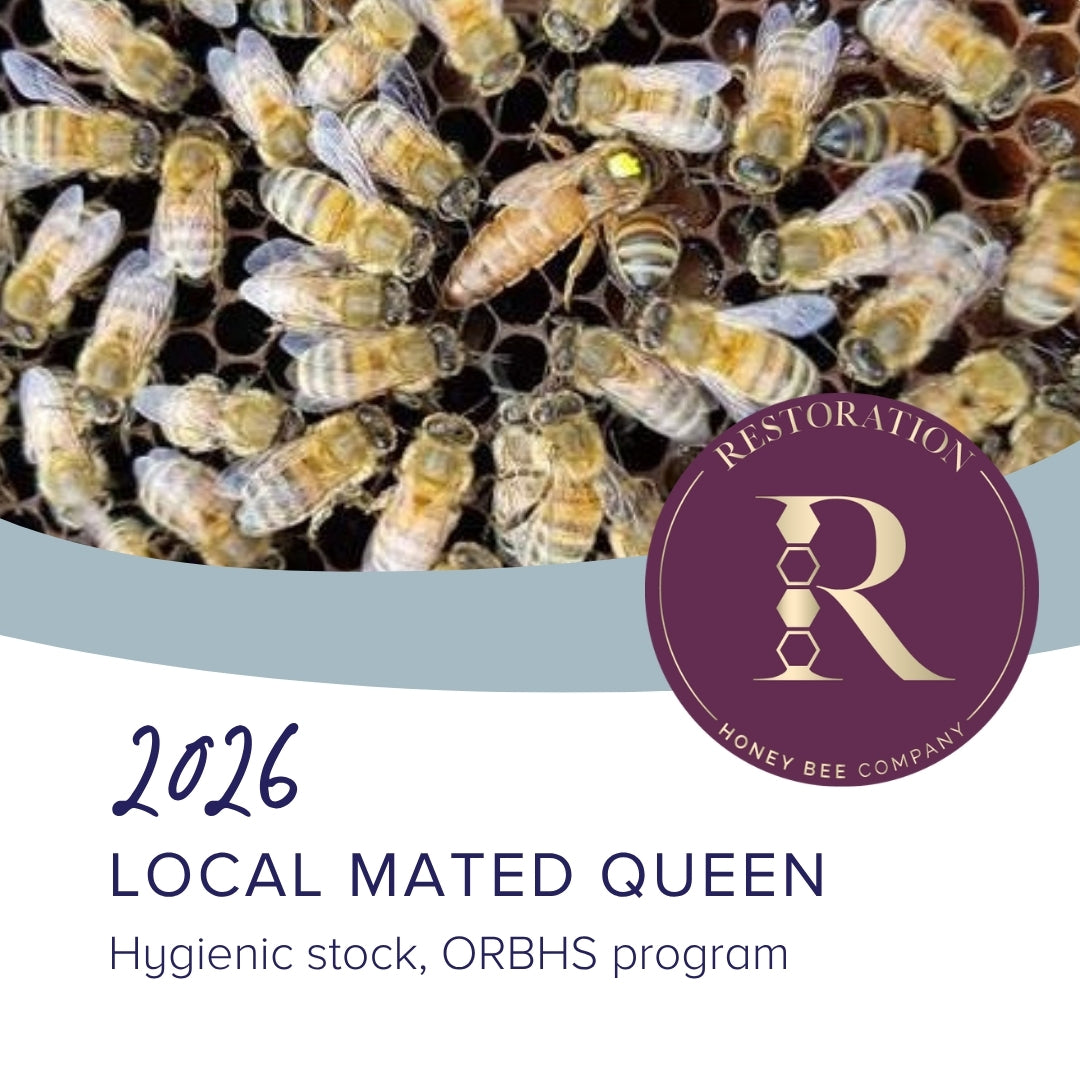 2026 Ontario queen, ORHBS stock