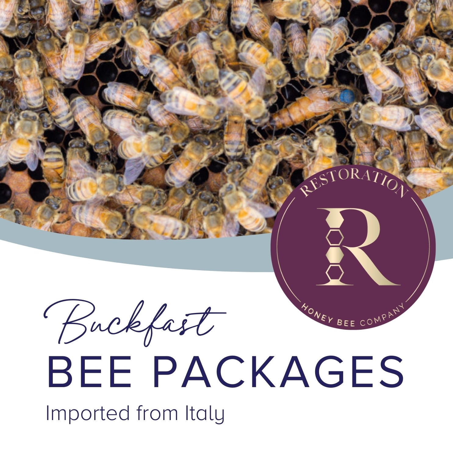 Bee package from Italy, Buckfast Queen